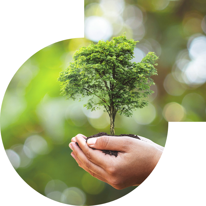 關懷人類、文化、環境與社會